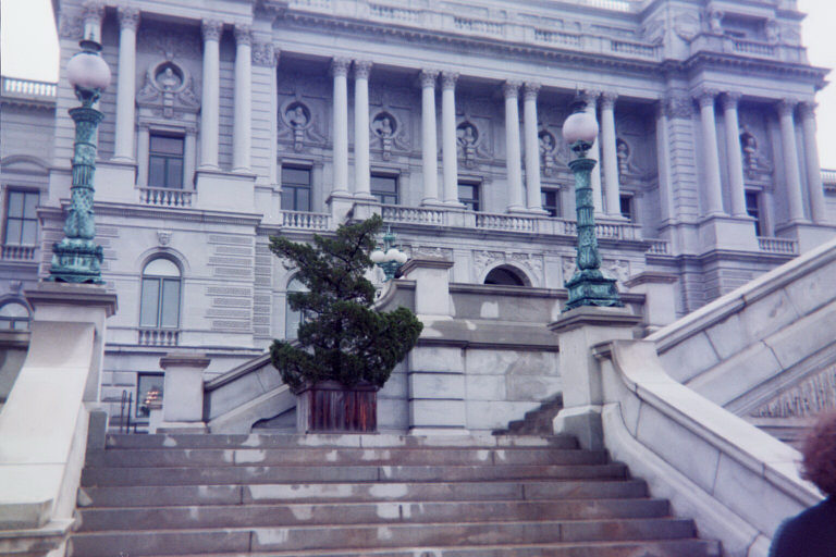 image9.jpg